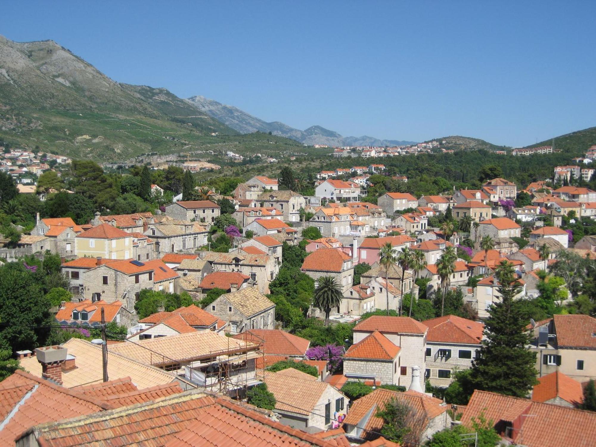 Guest house Rozic 4*